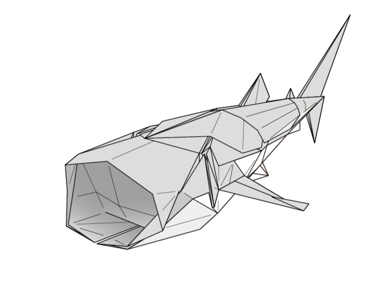 ジンベエザメ／Whale shark