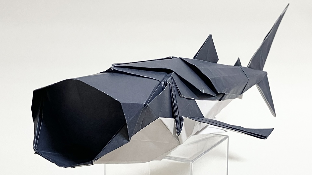 ジンベエザメ/Whale shark