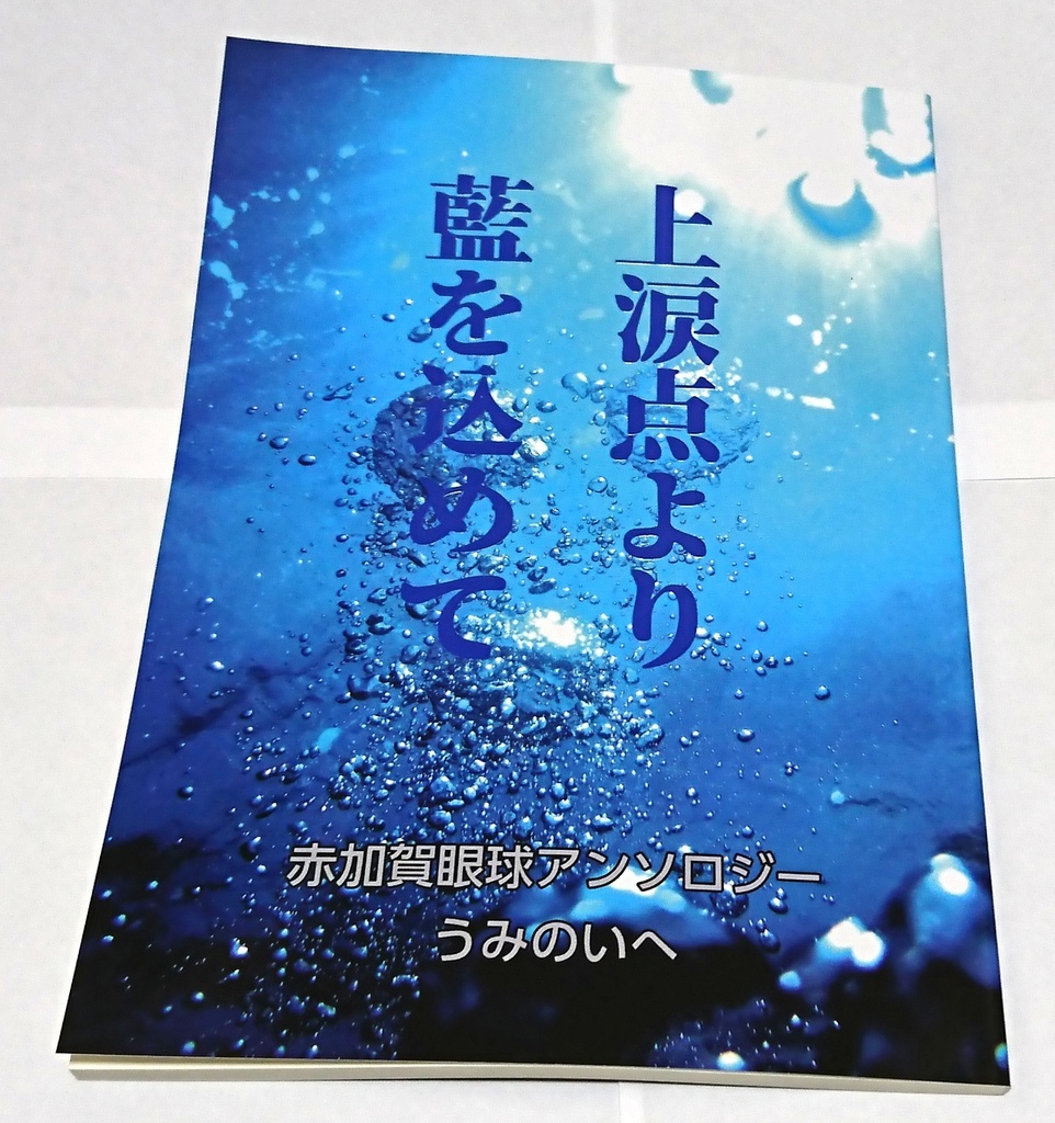 上涙点より藍を込めて【書籍版】