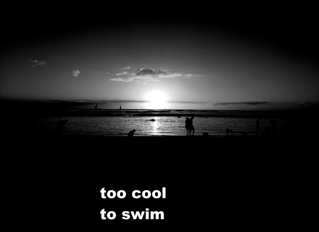 南国のビーチ(冬)