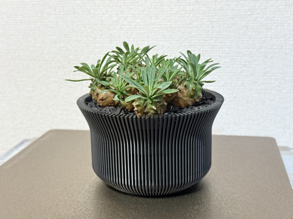 3Dプリント鉢 『VENTPOT』12cm(ブラック)