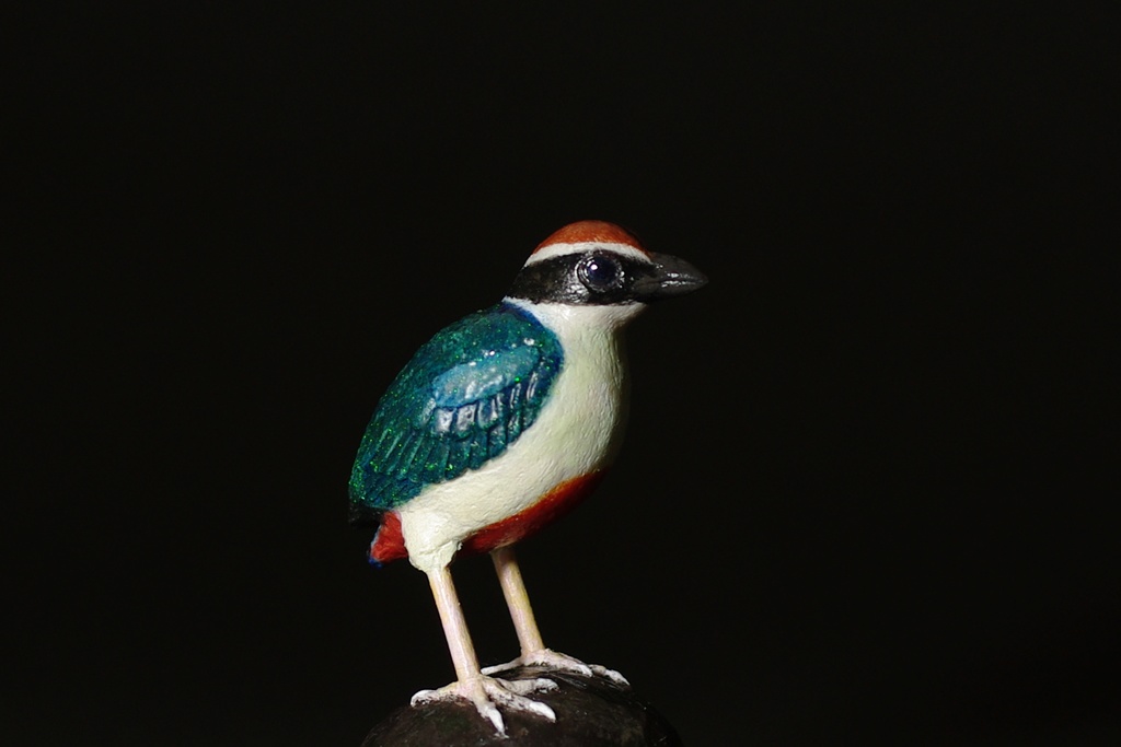 「ヤイロチョウ」色彩豊かな野鳥のフィギュア、木製台座付き（漆塗り）