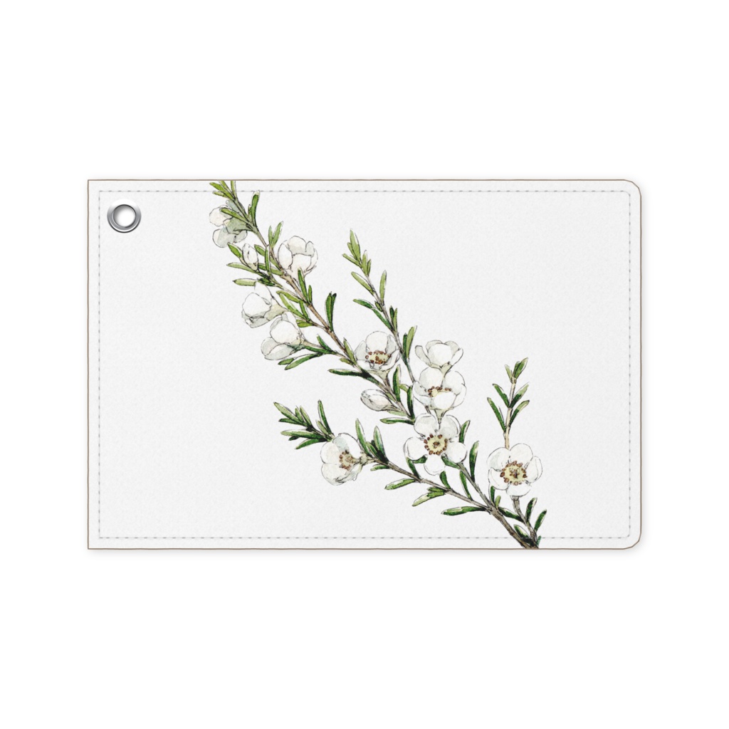 パスケース『Chamelaucium.』