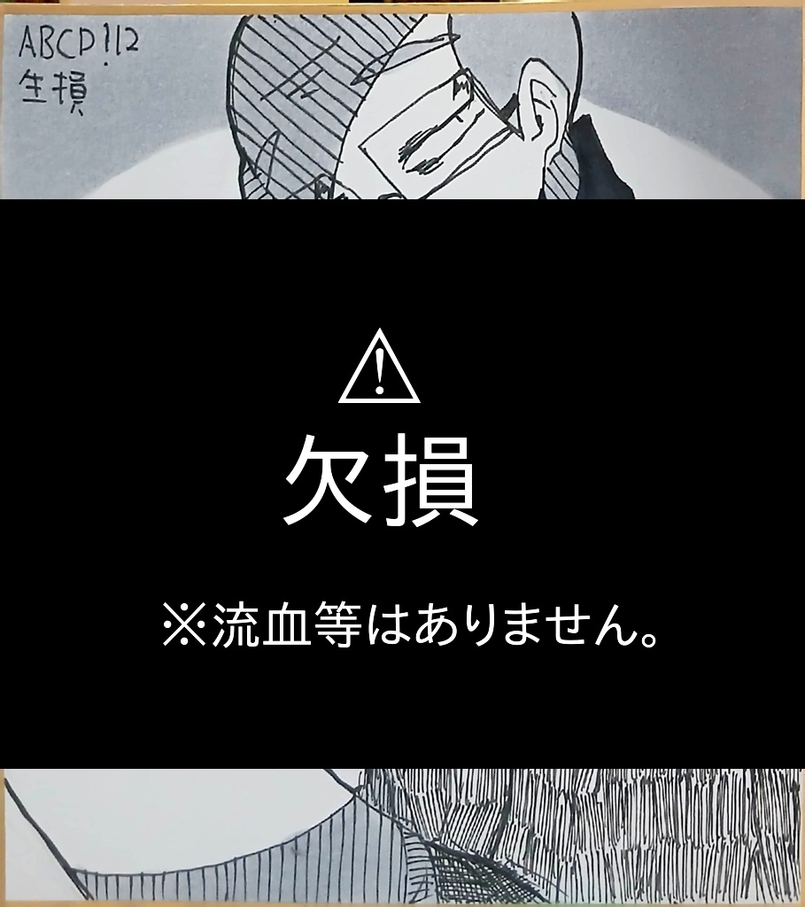 球体関節人形化👓色紙