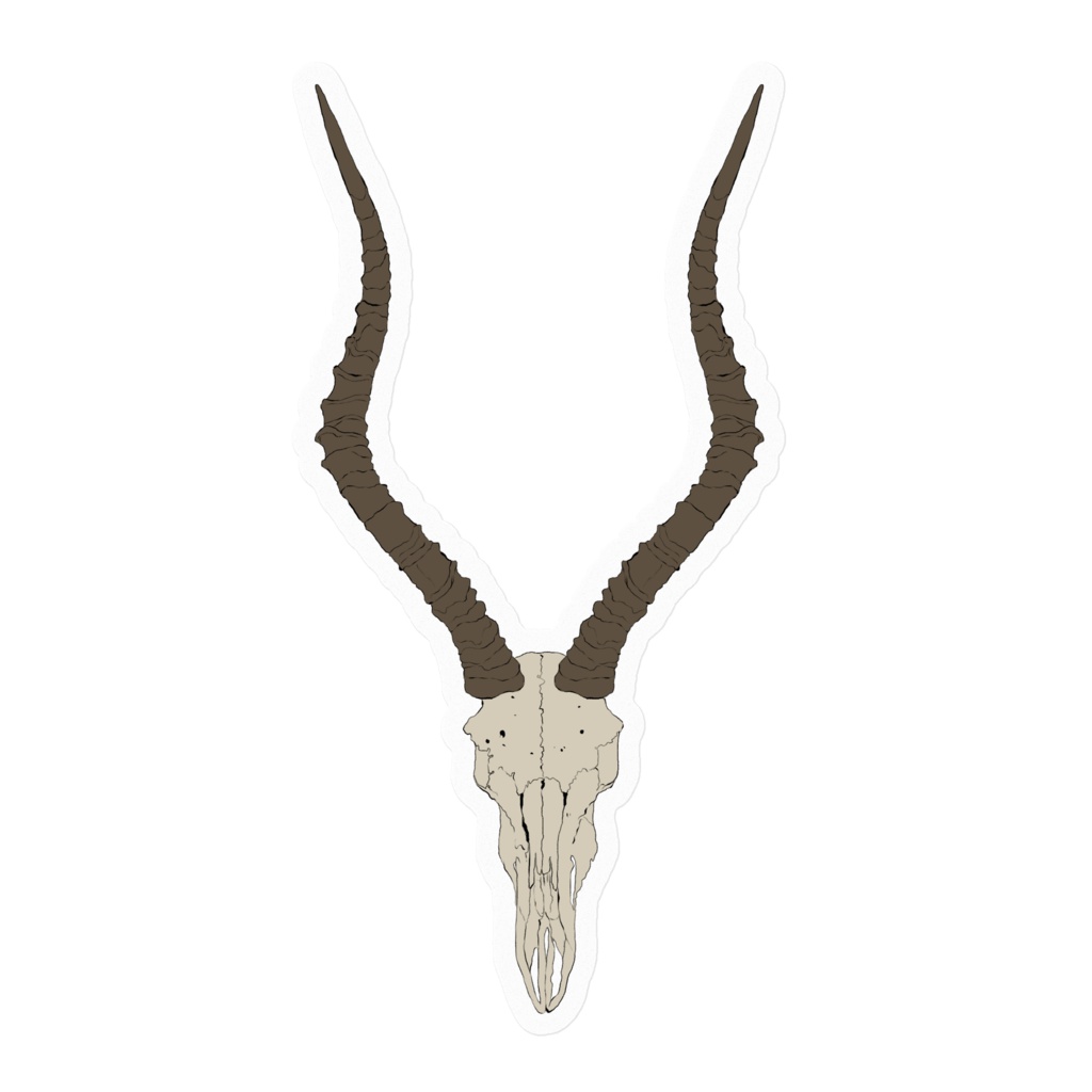 動物骨ステッカー