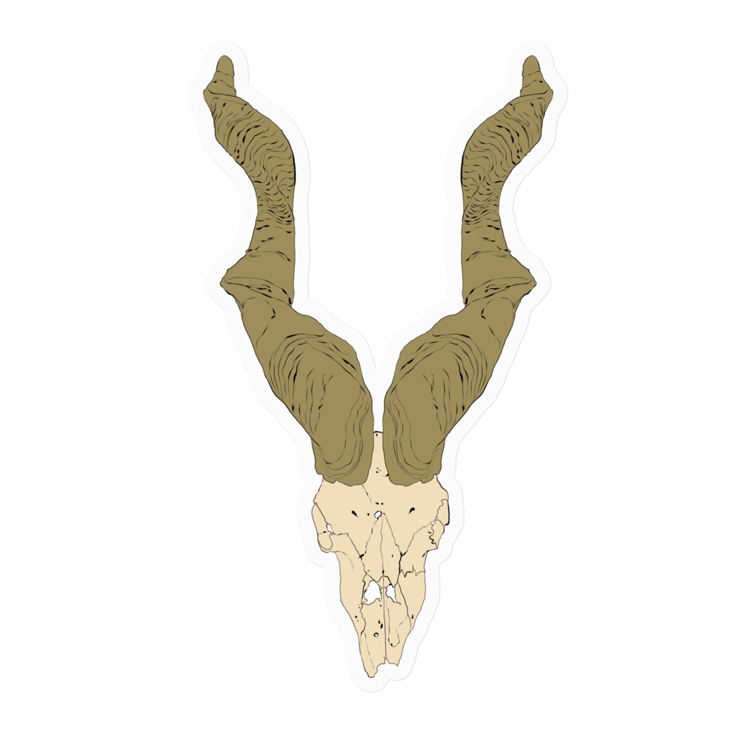 動物骨ステッカー