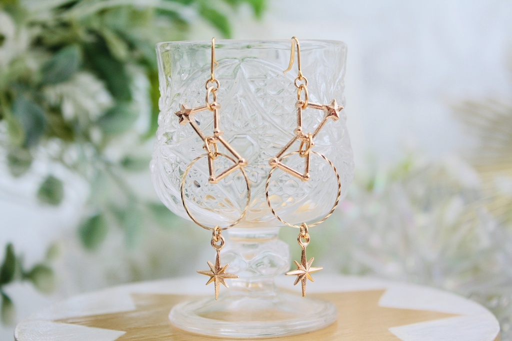 ボイジャーイメージイヤリング&ピアス