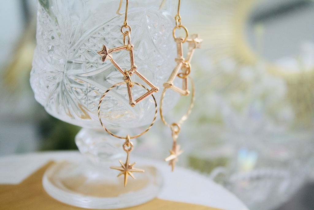 ボイジャーイメージイヤリング&ピアス