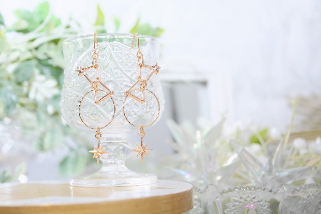 ボイジャーイメージイヤリング&ピアス