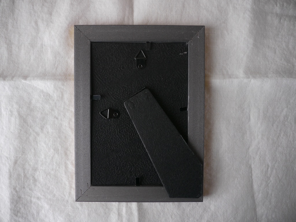 約12×16㎝「観葉植物1」ボールペン画・原画・額装・壁掛け・独立スタンド付き