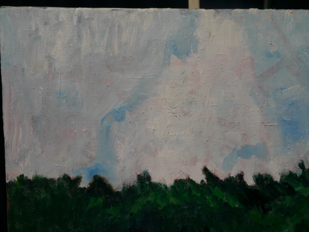 38×46㎝「繁茂する草木と巨大な雲」F8・油彩画・原画