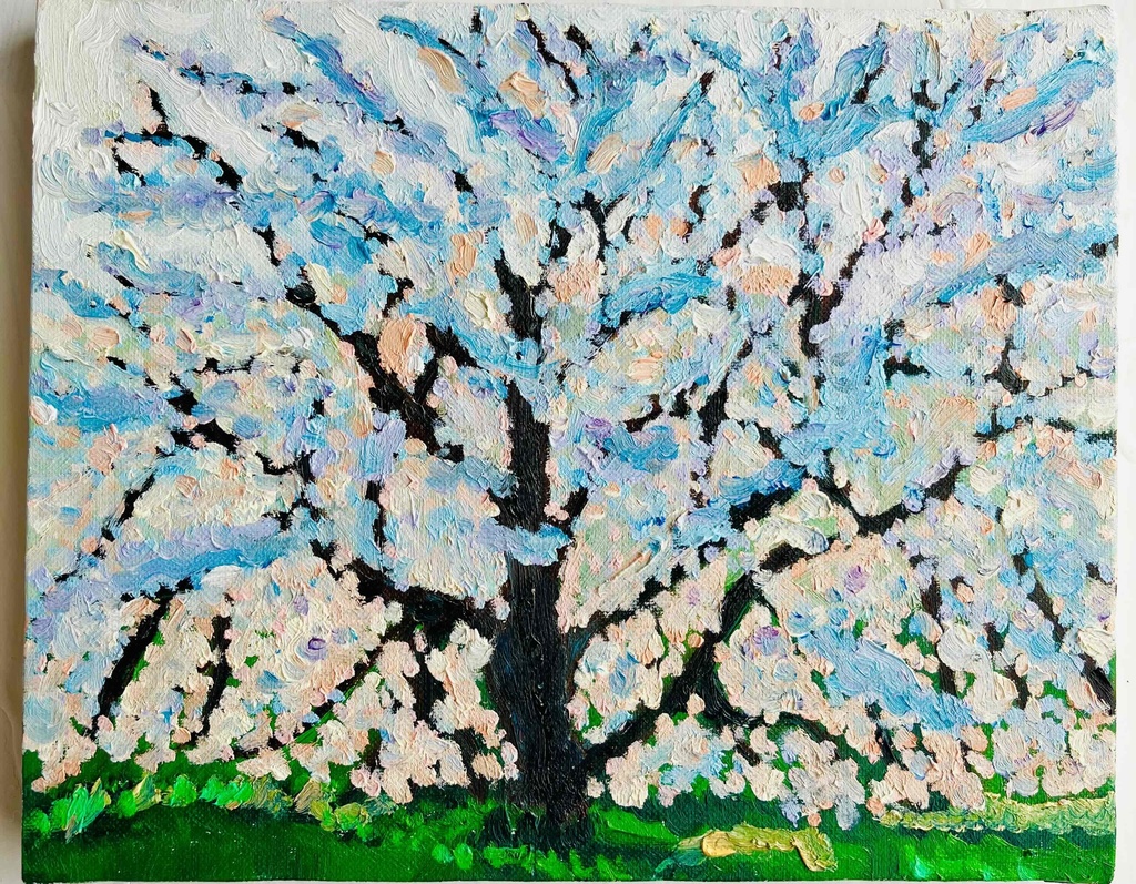 22×27㎝「朝の桜3」油彩・原画・F3