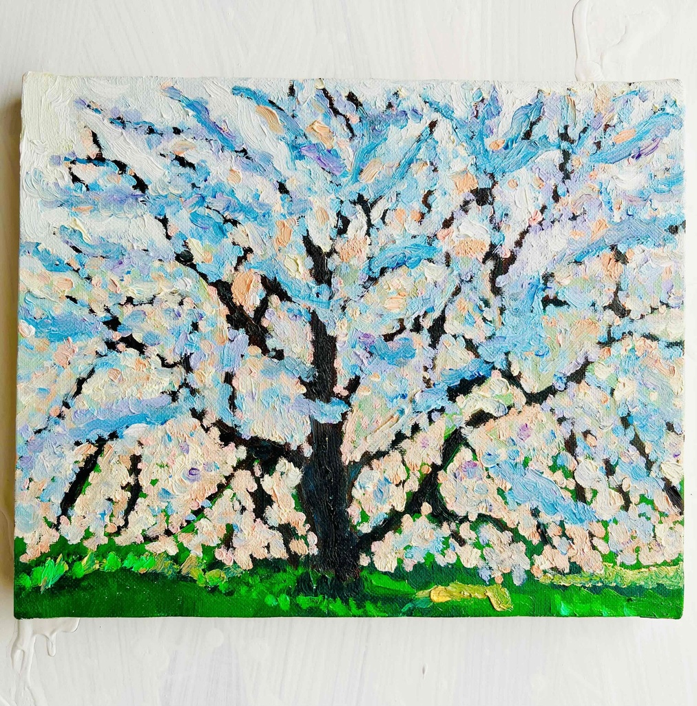 22×27㎝「朝の桜3」油彩・原画・F3