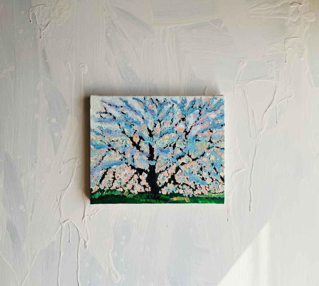 22×27㎝「朝の桜3」油彩・原画・F3