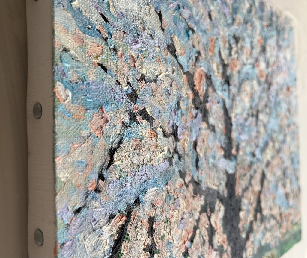 22×27㎝「朝の桜3」油彩・原画・F3