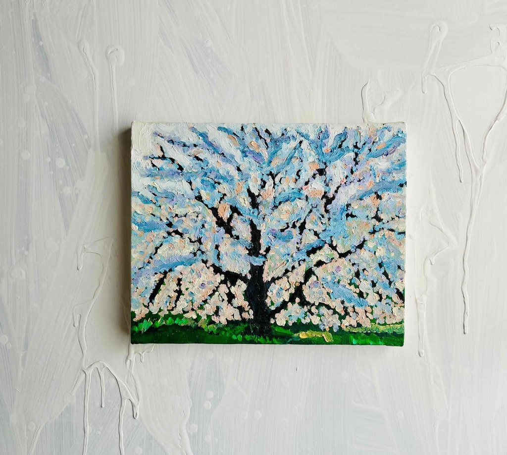 22×27㎝「朝の桜3」油彩・原画・F3