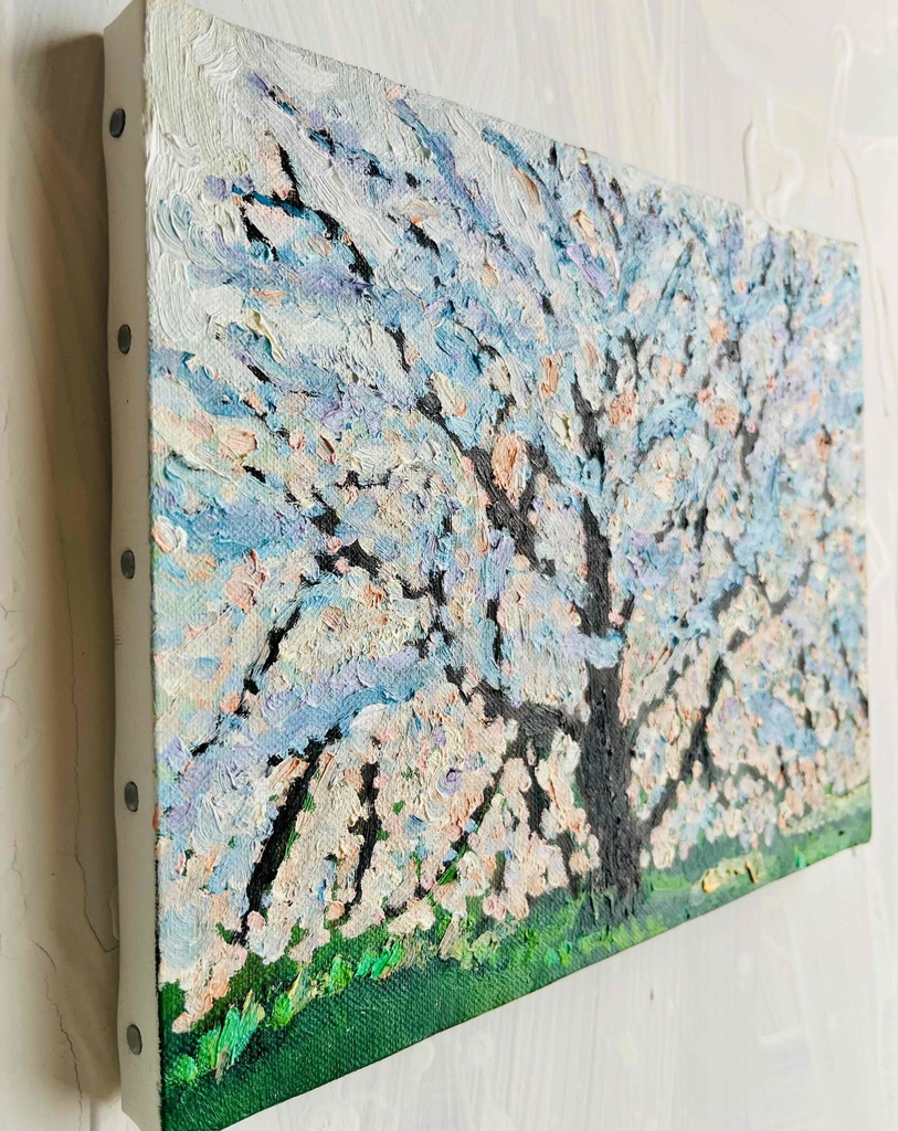 22×27㎝「朝の桜3」油彩・原画・F3