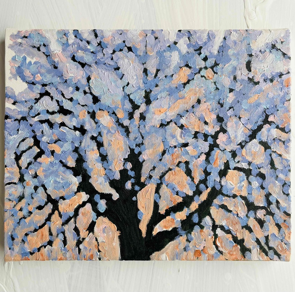 22×27㎝「朝の桜 2025.1-2」油彩・原画・F3