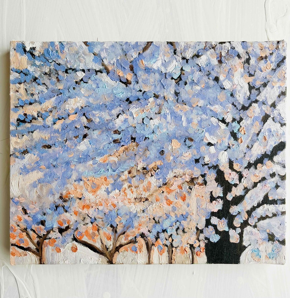22×27㎝「朝の桜 2025.1-1」油彩・原画・F3