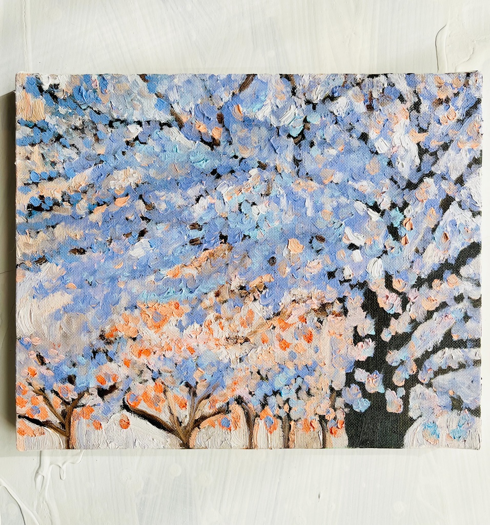 22×27㎝「朝の桜 2025.1-1」油彩・原画・F3
