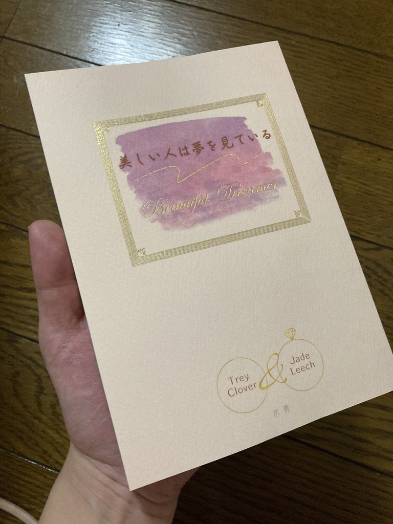 【トレジェイ】美しい人は夢を見ている