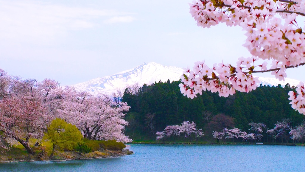 素材 バーチャル 背景