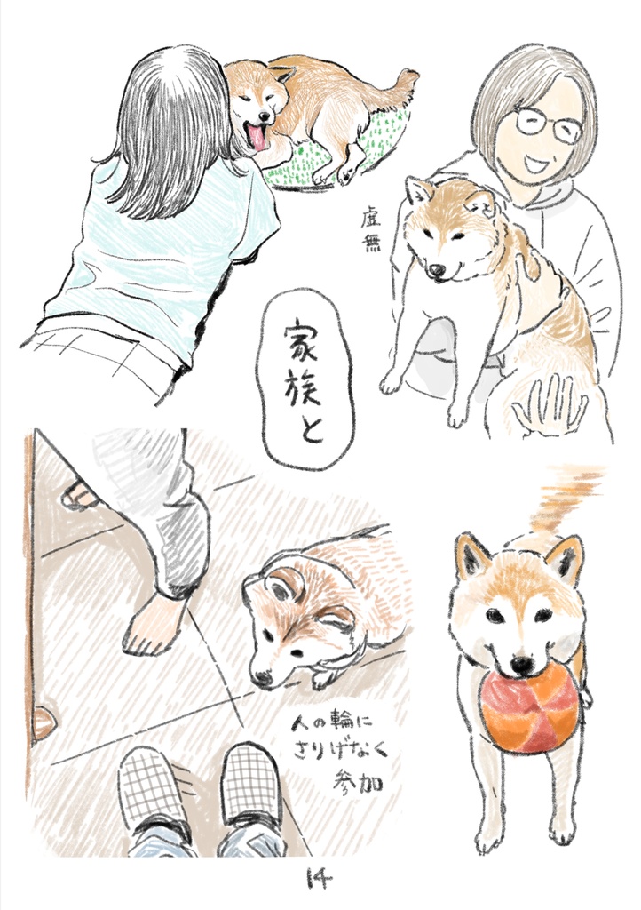 たっぷり柴犬スケッチ