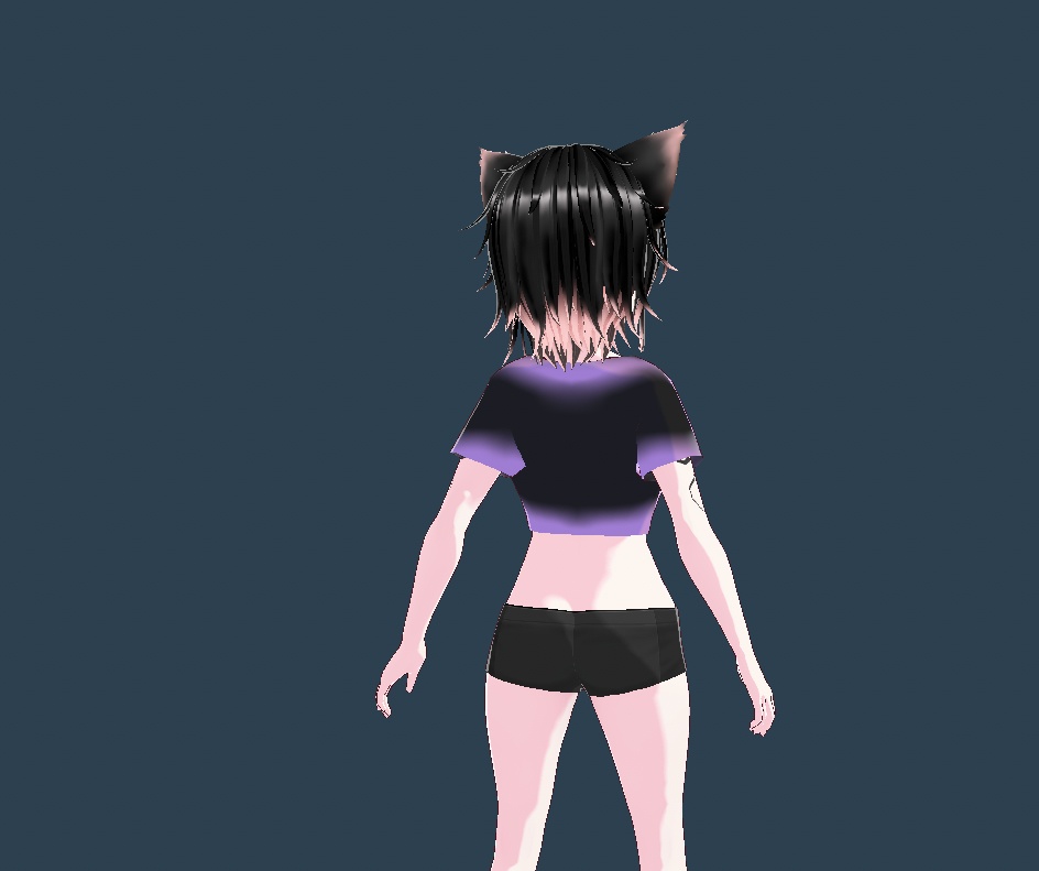 Two Tone Fade Crop Tops Pack