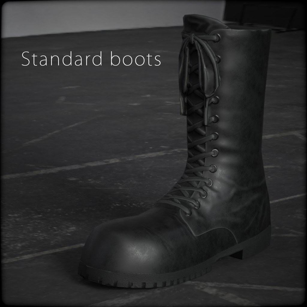 Standard boots