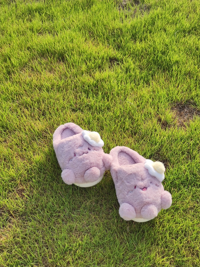 Stargazer slippers