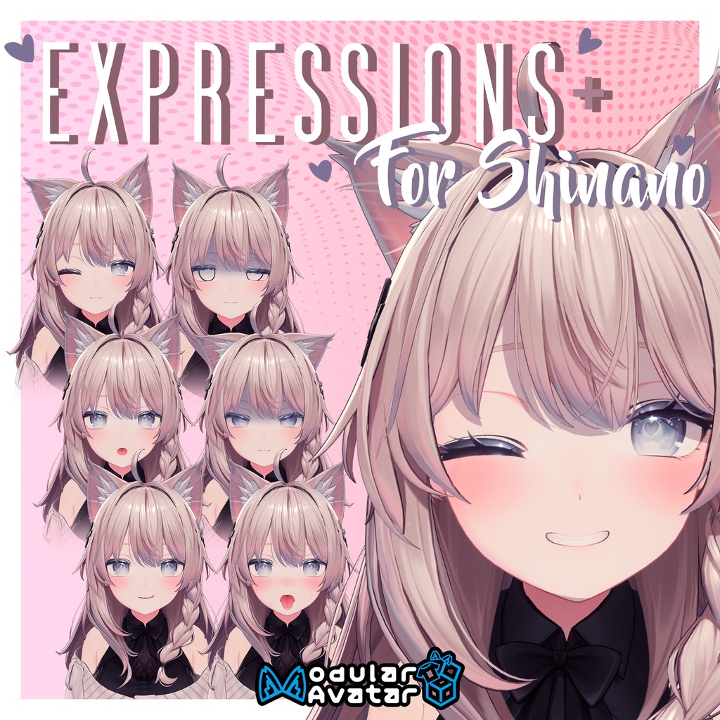 【しなの用】Expressions + for Shinano 1.0.4 (MA)