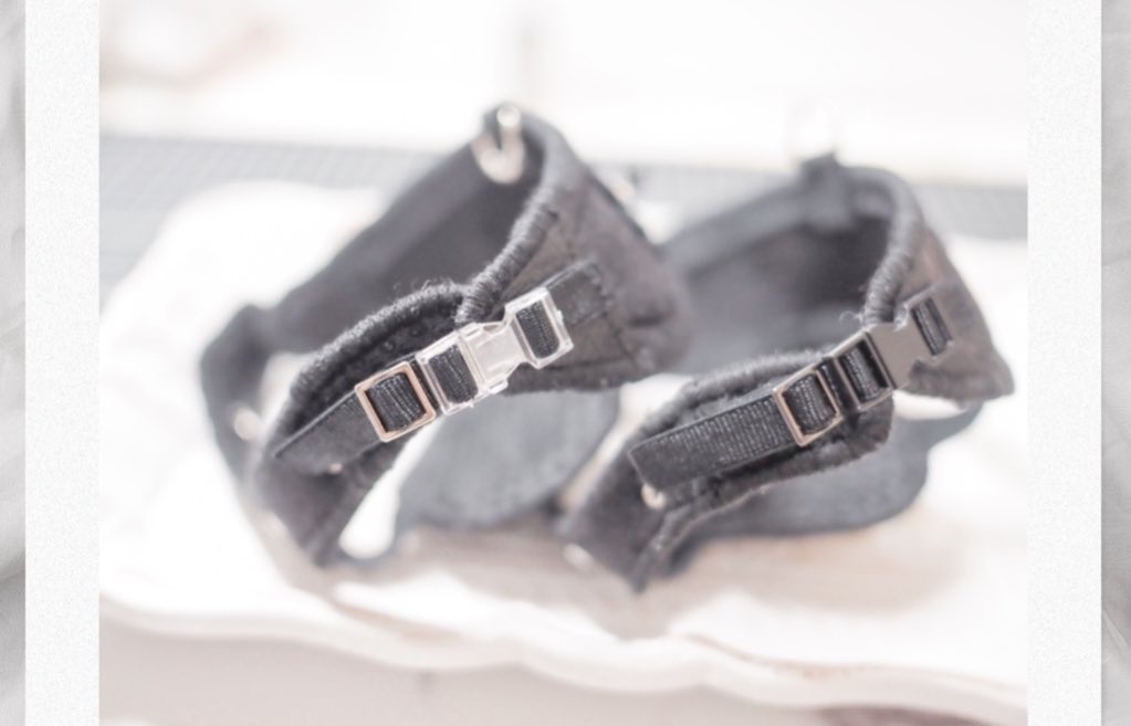 ぶくわん用お散歩ハーネス