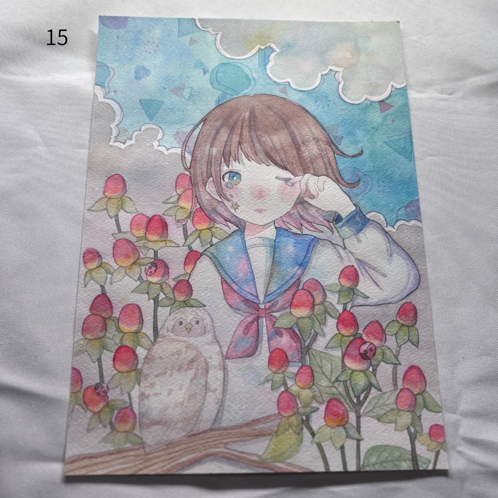 過去原画 B5.A4サイズ 1~26