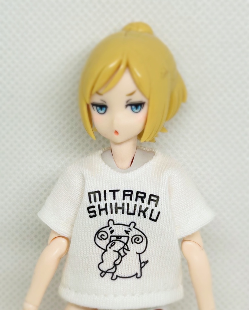 半袖Tシャツ達はこちら