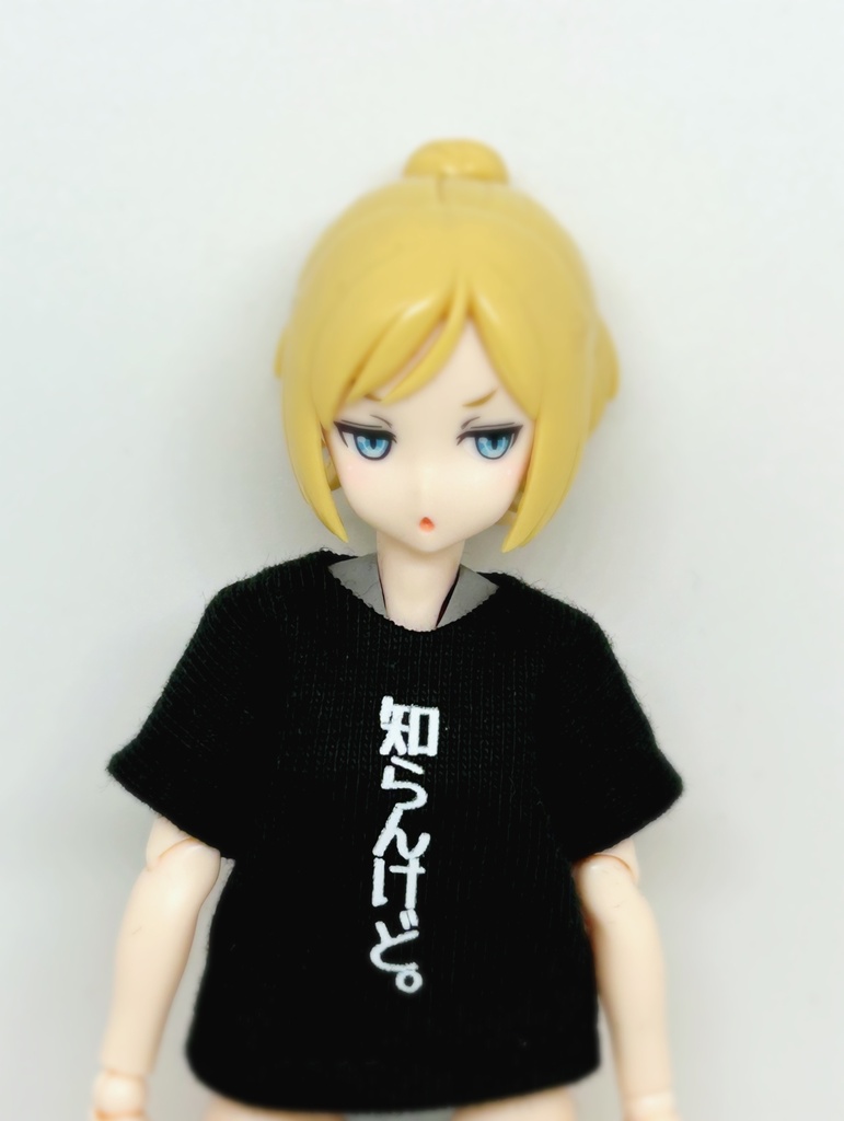 半袖Tシャツ達はこちら