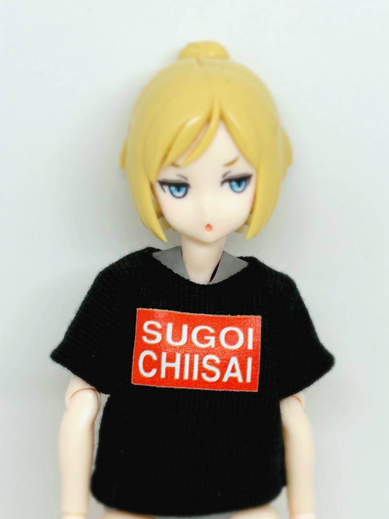 半袖Tシャツ達はこちら