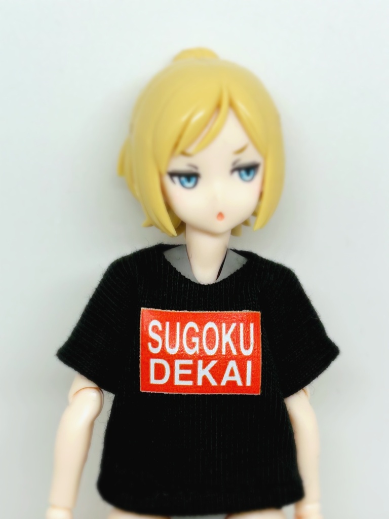 半袖Tシャツ達はこちら