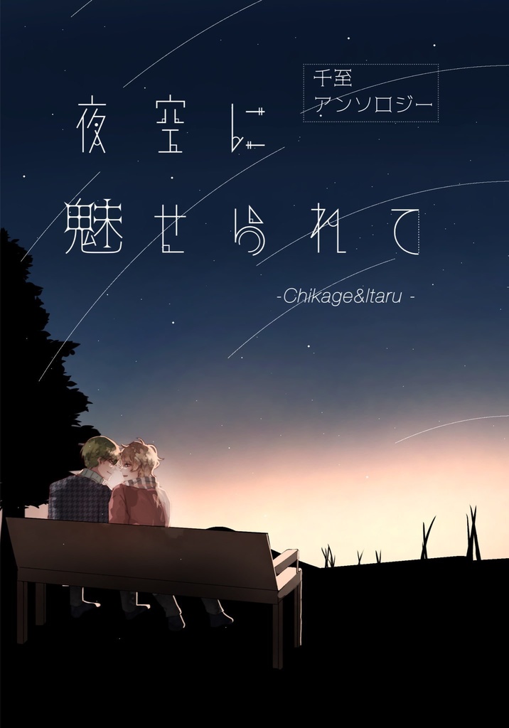 夜空に魅せられて