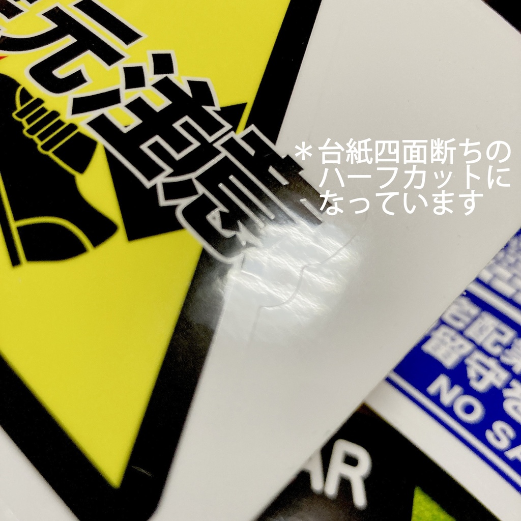 標識カメステッカー 最新版