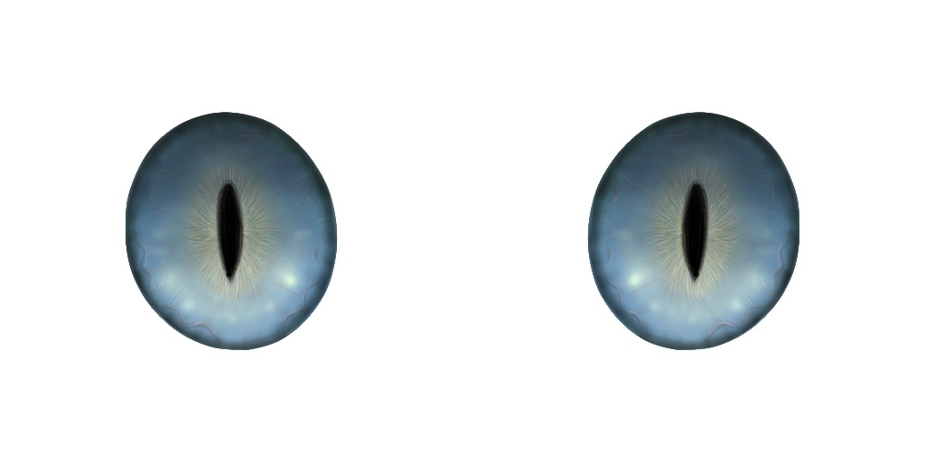 【無料有】ちょっとリアル風なねこの瞳テクスチャ