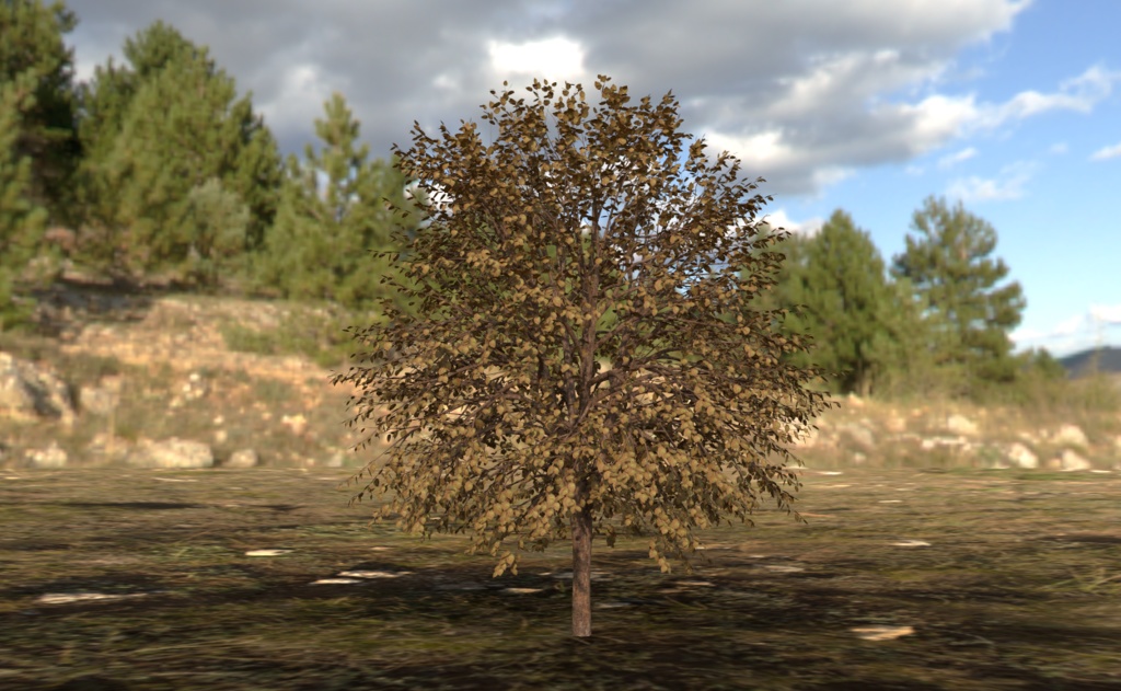 【3Dモデル】木(四季セット) -Tree-