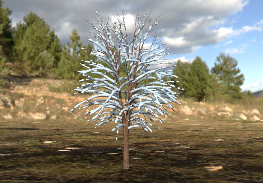 【3Dモデル】木(四季セット) -Tree-