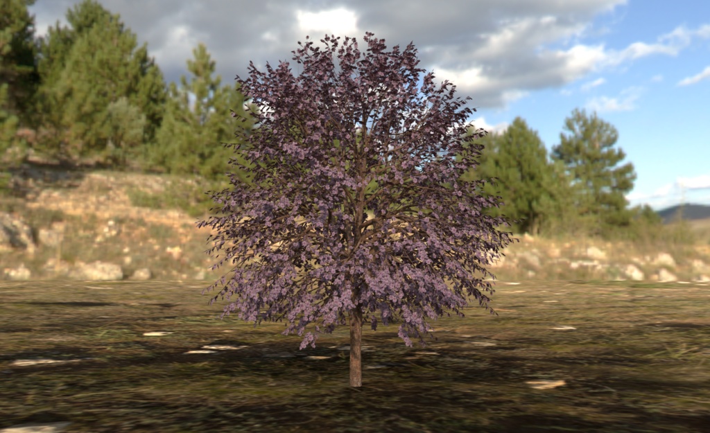 【3Dモデル】木(四季セット) -Tree-