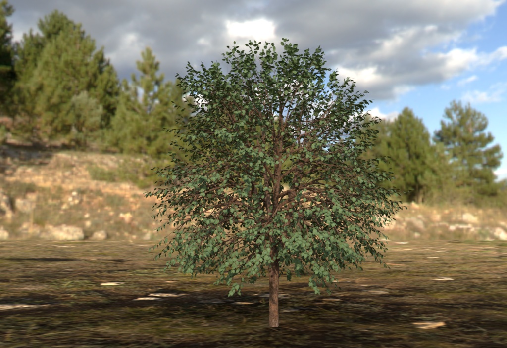 【3Dモデル】木(四季セット) -Tree-