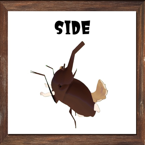 【VRC想定衣装】夏だし!!カブトムシになろう!!【まめふれんず対応】