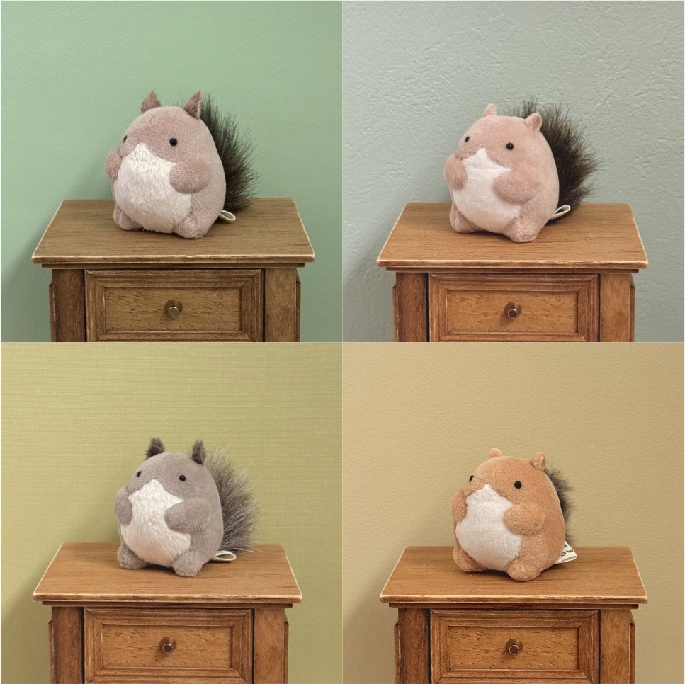 [抽選オーダー]リス