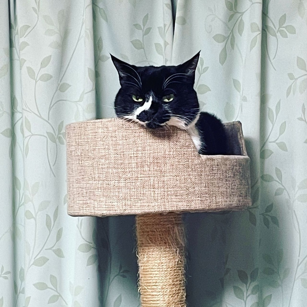 【オーダーメイド】ハガキサイズ原画