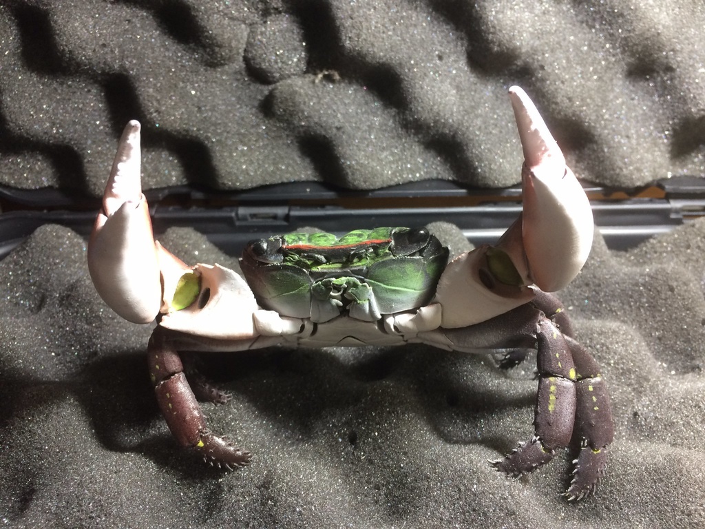 フル可動 イワガニ(完成品)