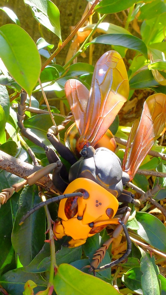 フル可動 オオスズメバチ(キット)