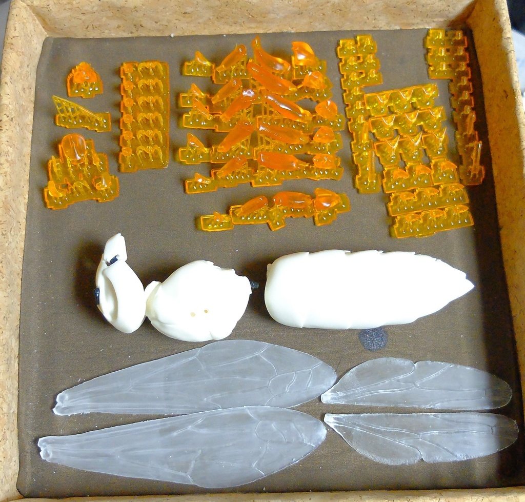 フル可動 オオスズメバチ(キット)